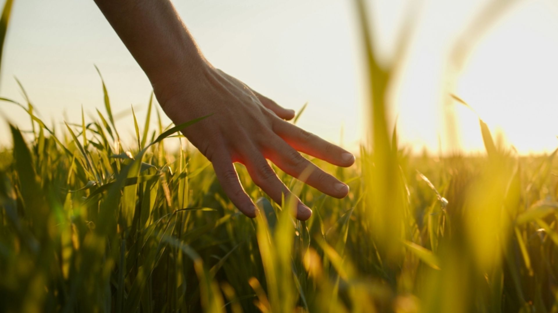 Güvensizlik nedir? Güvensizlikle nasıl başa çıkılır?